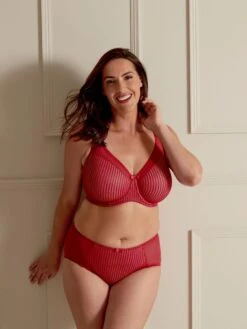 Berlei Beauty Stripe Deep Brief 19 Berlei Beauty Stripe Deep Brief -Full Curve Bra Sales braforme berlei b543 psn ls