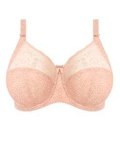 ELOMI Morgan Printed Full Cup Bra - Cameo Rose -Full Curve Bra Sales braforme bra elomi morgan 4110 cro plain