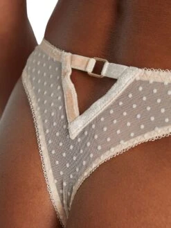 Aubade Velvet Memories Tanga 17 Aubade Velvet Memories Tanga -Full Curve Bra Sales braforme brief aubade velvet 20memories dawn rb26 back