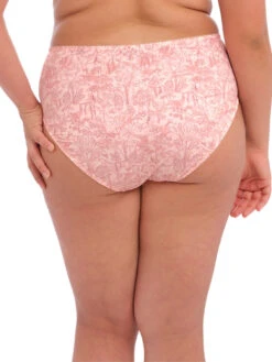 ELOMI Mariella Full Brief 8 ELOMI Mariella Full Brief -Full Curve Bra Sales braforme elomi el4425 peachytiger b