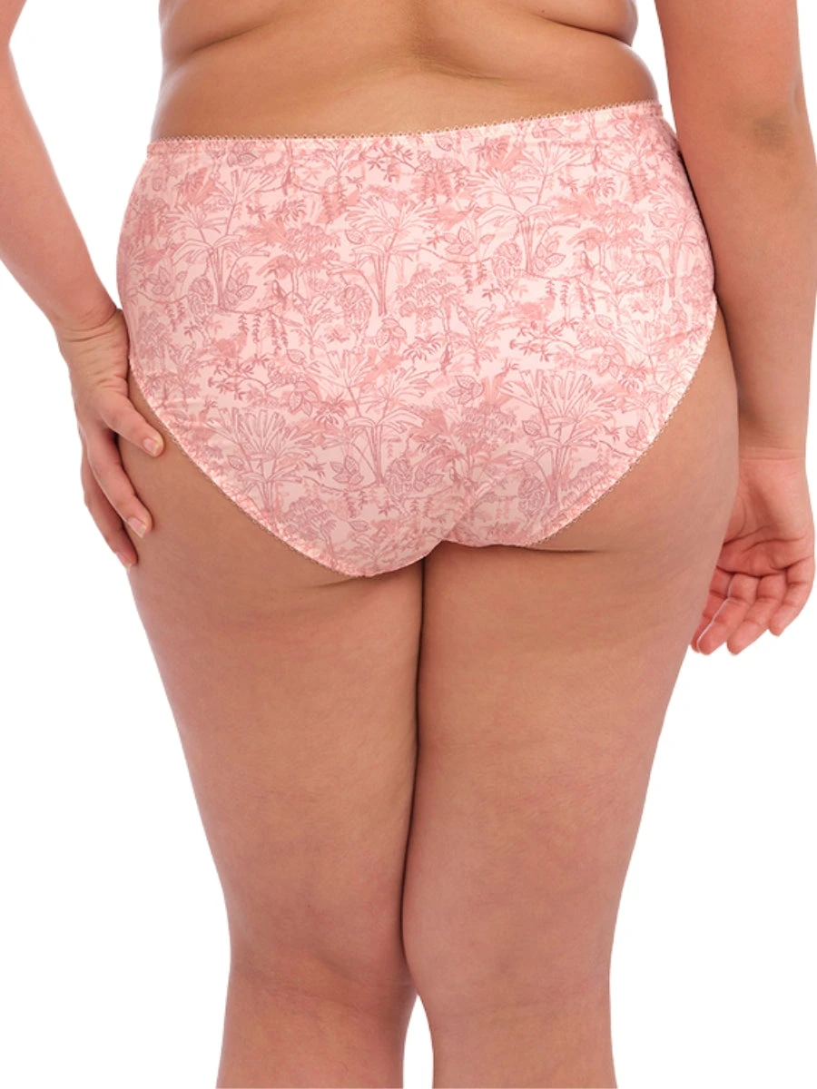 ELOMI Mariella Full Brief 4 ELOMI Mariella Full Brief - Image 4