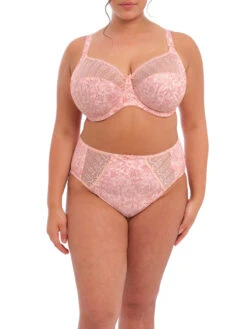 ELOMI Mariella Full Brief 7 ELOMI Mariella Full Brief -Full Curve Bra Sales braforme elomi el4425 peachytiger fl b979368a a5f5 4b12 9821 f5283daf5565