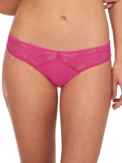 Passionata Maddie Brief 18 Passionata Maddie Brief -Full Curve Bra Sales braforme lingerie passionata by chantelle maddie brief p47h30 06x f