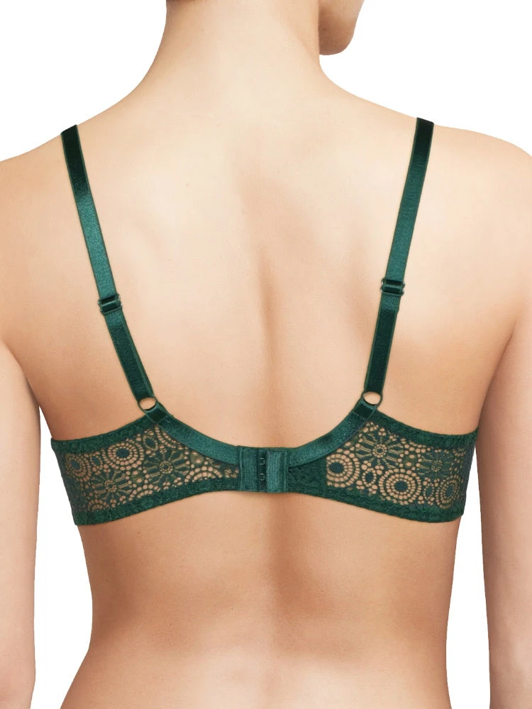 Passionata Georgia Full Cup Bra - Sequioa Green 2 Passionata Georgia Full Cup Bra - Sequioa Green - Image 2