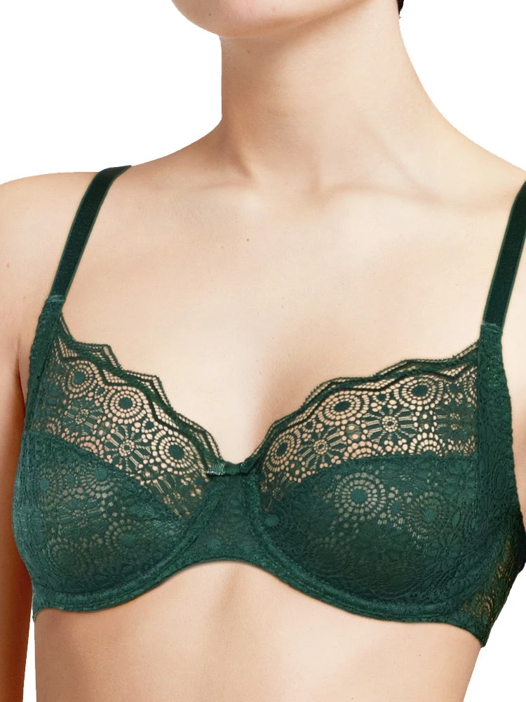Passionata Georgia Full Cup Bra - Sequioa Green 1 Passionata Georgia Full Cup Bra - Sequioa Green