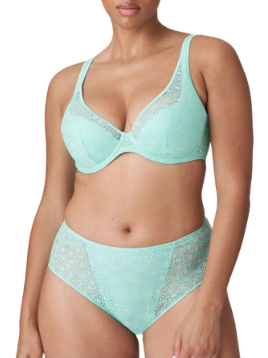 Epirus Full Brief 2 Epirus Full Brief - Image 2