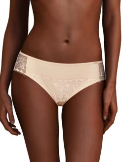 Chantelle Day To Night Brief 20 Chantelle Day To Night Brief -Full Curve Bra Sales c15f30 01n daylihtf