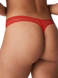 Twist "I Do" Thong 18 Twist "I Do" Thong -Full Curve Bra Sales primadonna twist lingerie thong i do 0641600 red b a09fc280 7911 4355 98c3 bd579943488c